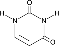 Uracil