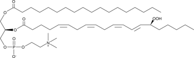 1-Stearoyl-2-<wbr/>15(S)-HpETE-<wbr/><em>sn</em>-glycero-3-<wbr/>PC