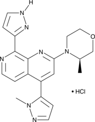 BAY-1895344 (hydrochloride)