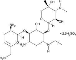 Netilimicin (sulfate)