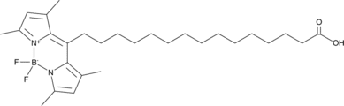 BODIPY-Palmitate