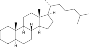 5?-Cholestane