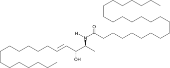 C24 1-Deoxy<wbr/>ceramide (m18:1/24:0)