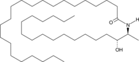 C22 dihydro 1-Deoxyceramide (m18:0/22:0)