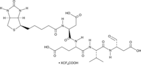 Biotin-DEVD-<wbr/>CHO (trifluoro<wbr/>acetate salt)