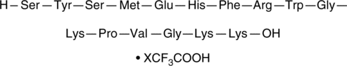 ACTH (1-16) (human, mouse, rat, porcine, bovine, ovine)  (trifluoro<wbr/>acetate salt)