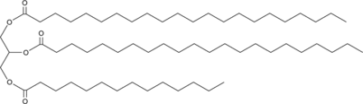 1,2-<wbr/>Didocosanoyl-<wbr/>3-Myristoyl-<wbr/><em>rac</em>-glycerol