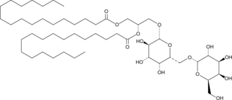 Digalactosyl<wbr/>diacyl<wbr/>glyceride (hydrogenated) (plant)