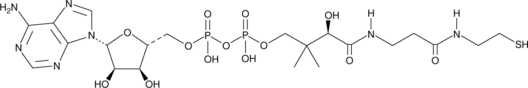 3'-Dephospho<wbr/>coenzyme A