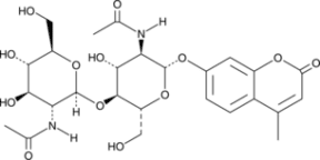 4-Methyl<wbr/>umbelliferyl ?-D-N,N'-<wbr/>diacetyl<wbr/>chitobioside