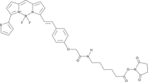 BODIPY 630/650X succinimide ester