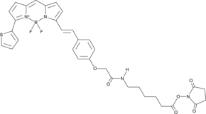 BODIPY 630/650X succinimide ester