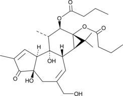 Phorbol 12,13-<wbr/>dibutyrate
