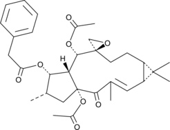 Euphorbia<wbr/>steroid