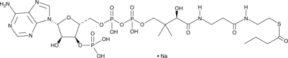 Butyryl-Coenzyme A (sodium salt)