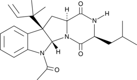 Verruco<wbr/>fortine