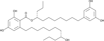 Integracin B