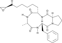 1-Alanine<wbr/>chlamydocin