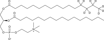 1-Palmitoyl-d<sub>9</sub>-<wbr/>2-Palmitoyl-<em>sn</em>-<wbr/>glycero-3-PC