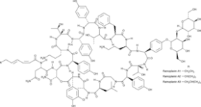 Ramoplanin Complex