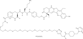 CL2-SN-38 (dichloroacetic acid salt)