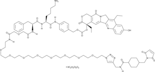 CL2-SN-38 (dichloroacetic acid salt)