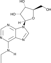 N<sup>6</sup>-Ethyl<wbr/>adenosine