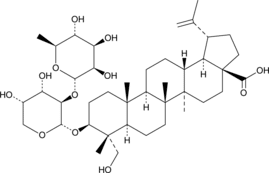 Pulchinen<wbr/>oside A