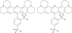 Sulforhodamine 101 Sulfonyl Chloride