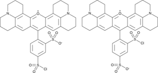 Sulforhodamine 101 Sulfonyl Chloride