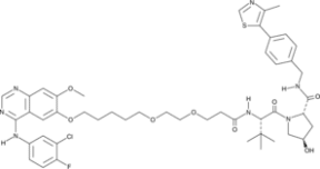 Gefitinib-based PROTAC 3