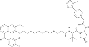Gefitinib-based PROTAC 3