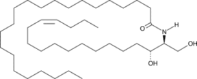 C22 Ceramide (d18:1(14Z)/<wbr/>22:0)