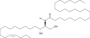 C24 Ceramide (d18:1(14Z)/<wbr/>24:0)