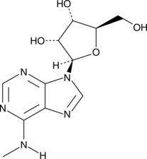 N<sup>6</sup>-Methyl<wbr/>adenosine