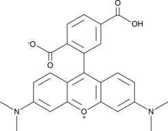 6-Carboxytetra<wbr/>methylrhodamine
