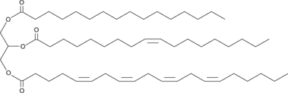 1-Palmitoyl-<wbr/>2-Oleoyl-3-<wbr/>Arachidonoyl-<wbr/><em>rac</em>-glycerol