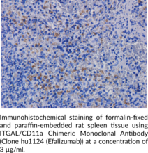 ITGAL/CD11a Chimeric Monoclonal Antibody