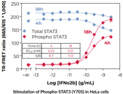 STAT3 (Total) and STAT3 (Phospho-Tyr<sup>705</sup>) TR-FRET Assay Kit