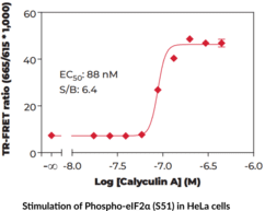 eIF2? (Phospho-Ser<sup>51</sup>) TR-FRET Assay Kit