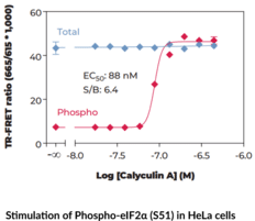 eIF2? (Total) TR-FRET Assay Kit