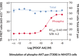 pan-Akt (Total) and pan-Akt (Phospho-Thr<sup>308</sup>) TR-FRET Assay Kit