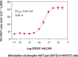 pan-Akt (Phospho-Ser<sup>473</sup>) TR-FRET Assay Kit