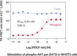 pan-Akt (Total) TR-FRET Assay Kit