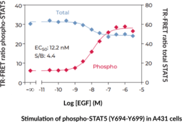 STAT5 (Total) TR-FRET Assay Kit