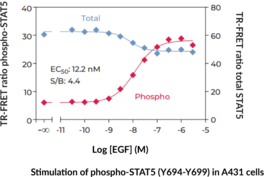 STAT5 (Total) and STAT5 (Phospho-Tyr<sup>694/699</sup>) TR-FRET Assay Kit