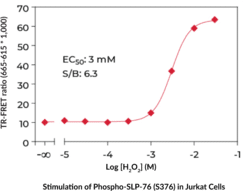 SLP-76 (Phospho-Ser<sup>376</sup>) TR-FRET Assay Kit