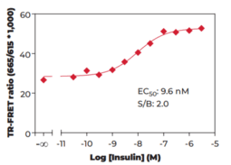 GSK3? (Phospho-Ser<sup>9</sup>) TR-FRET Assay Kit