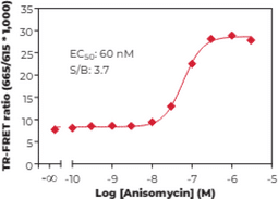 p38? MAPK (Phospho-Thr<sup>180</sup>/Tyr<sup>182</sup>) TR-FRET Assay Kit