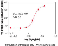 Src (Phospho-Tyr<sup>419</sup>) TR-FRET Assay Kit